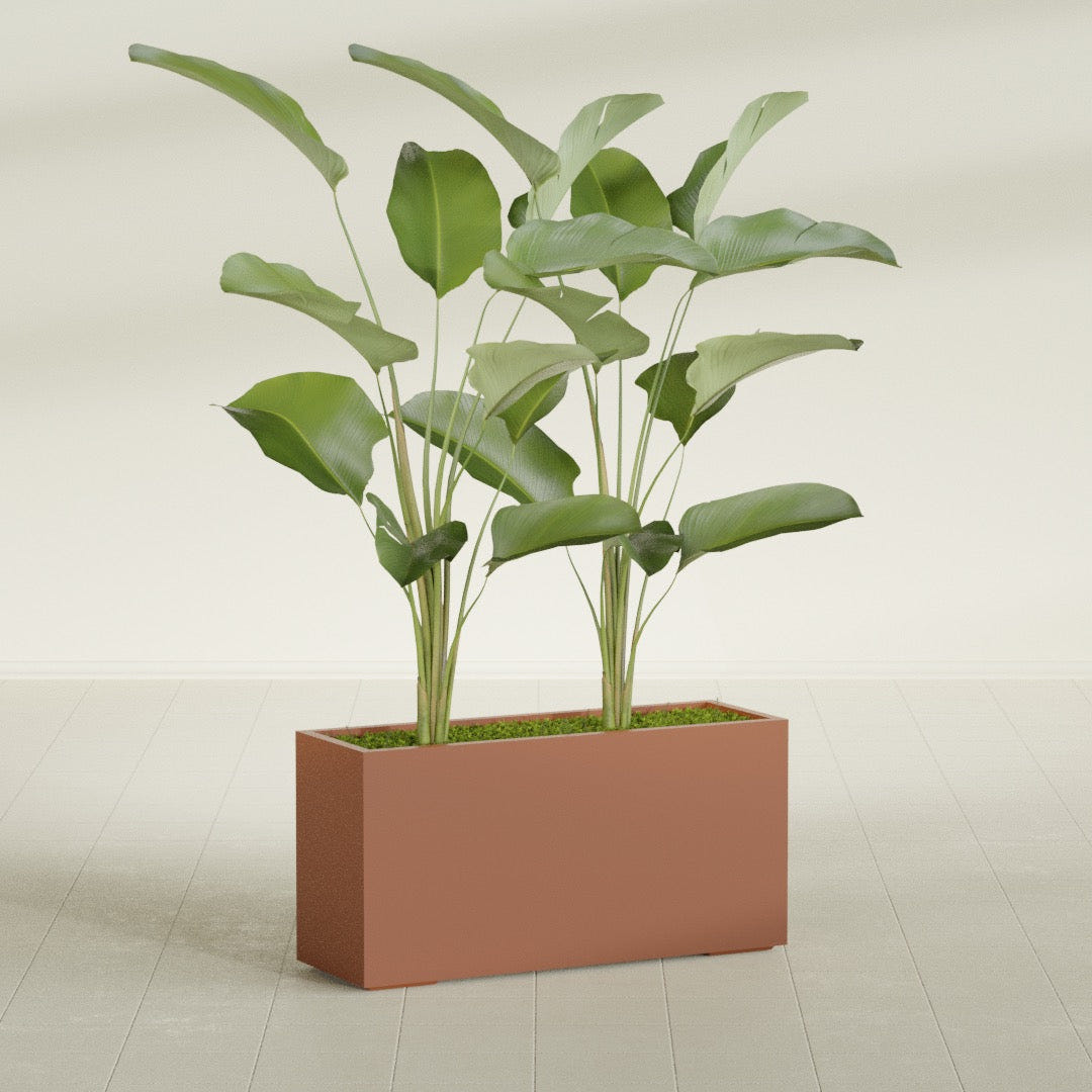 Tolga Rectangular fiberglass planter in Matte Terra Cotta, shown planted, in a sunlit interior