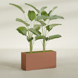 Tolga Rectangular fiberglass planter in Matte Terra Cotta, shown planted, in a sunlit interior