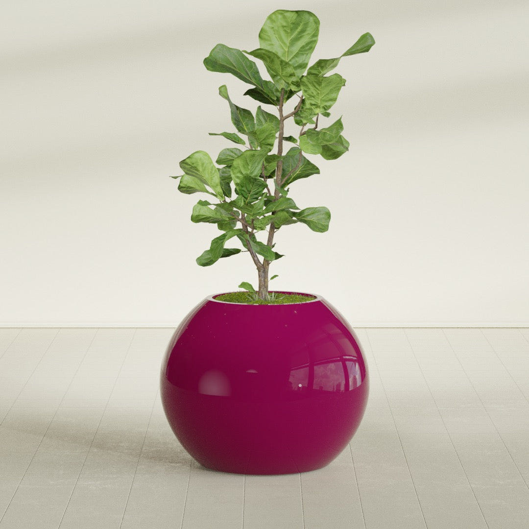 Globe Round Sphere fiberglass planter in Gloss Eggplant, planted, in a sunlit interior