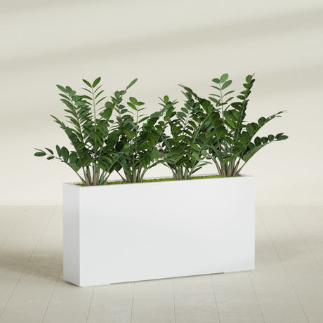 Milano Narrow fiberglass planter in Gloss Bright White, planted, in a sunlit interior