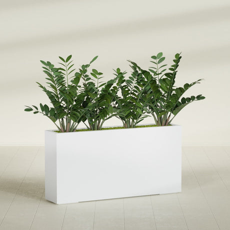 Milano Narrow fiberglass planter in Gloss Bright White, planted, in a sunlit interior