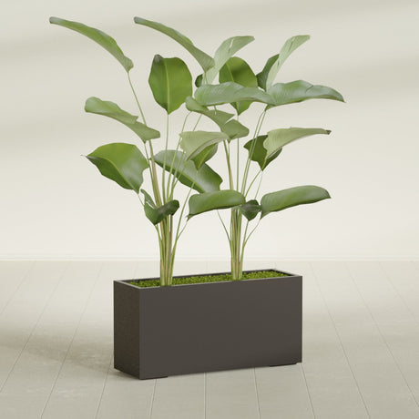 Tolga Corner fiberglass planter in Matte Dark Brown, shown planted, in a sunlit interior