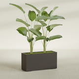 Tolga Rectangular fiberglass planter in Matte Dark Brown, shown planted, in a sunlit interior