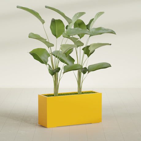 Tolga Corner fiberglass planter in Gloss Saffron, shown planted, in a sunlit interior