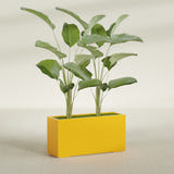 Tolga Rectangular fiberglass planter in Gloss Saffron, shown planted, in a sunlit interior