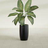 Lisbon Tall Round fiberglass planter in Matte Black, shown planted, in a sunlit interior