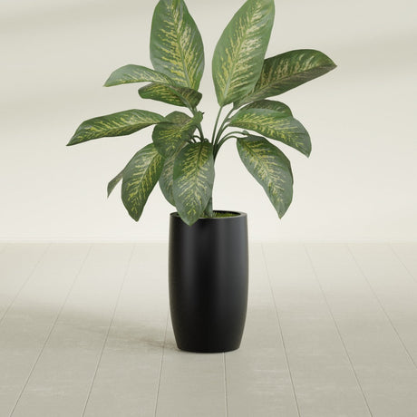 Lisbon Tall Round fiberglass planter in Matte Black, shown planted, in a sunlit interior