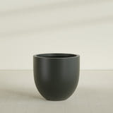 Alzira Bowl Planter in Matte Charcoal, 36"D × 34"H, shown empty