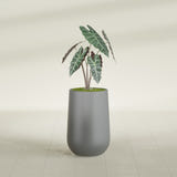 Hayden Urn fiberglass planter in Matte Gunmetal, shown planted, in a sunlit interior