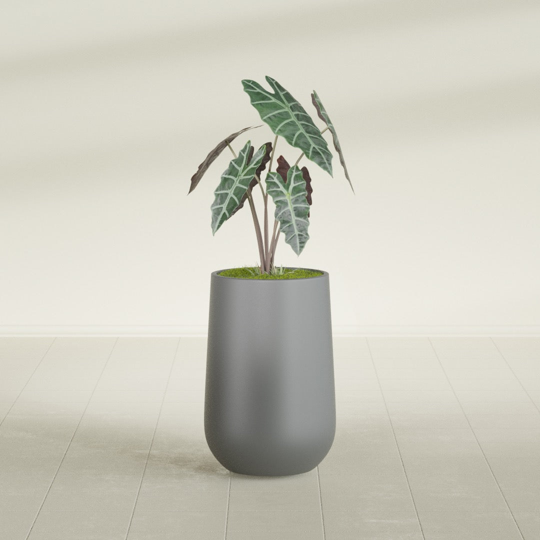 Hayden Urn fiberglass planter in Matte Gunmetal, shown planted, in a sunlit interior