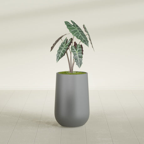 Hayden Urn fiberglass planter in Matte Gunmetal, shown planted, in a sunlit interior
