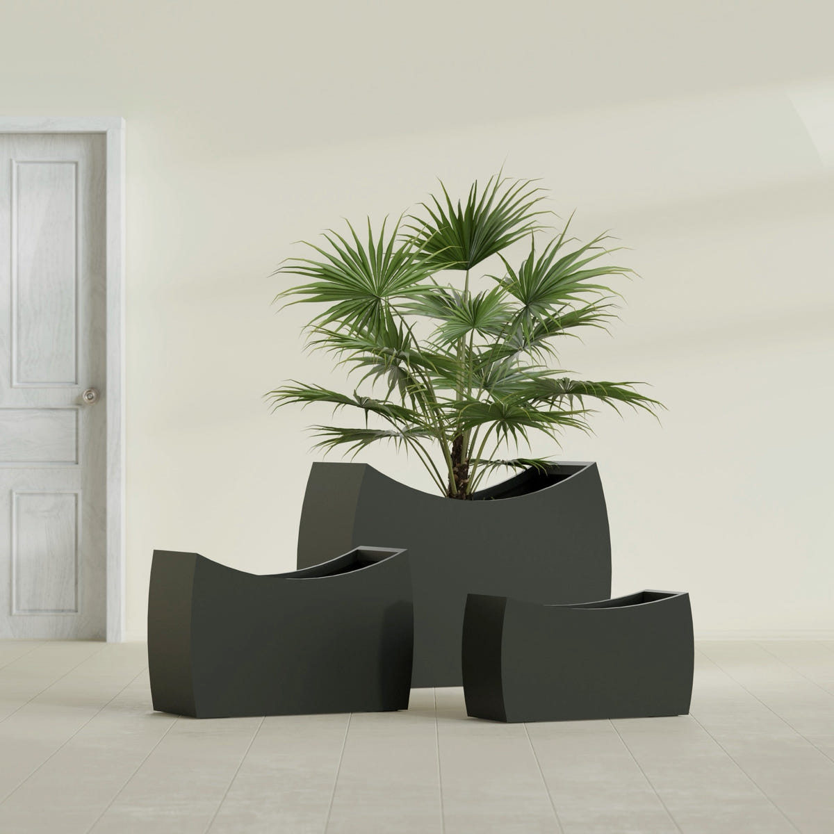 Seoul Curved fiberglass planter in Matte Charcoal, size range, in a sunlit interior