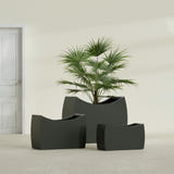 Seoul Curved fiberglass planter in Matte Charcoal, size range, in a sunlit interior