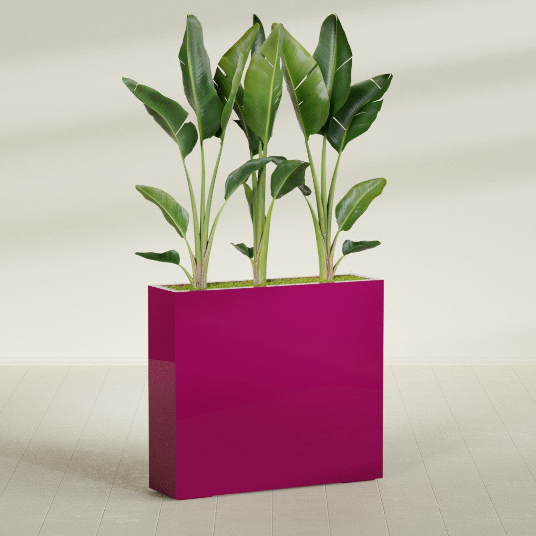 Amesbury Narrow Rectangular fiberglass planter in Gloss Eggplant, shown planted, in a sunlit interior