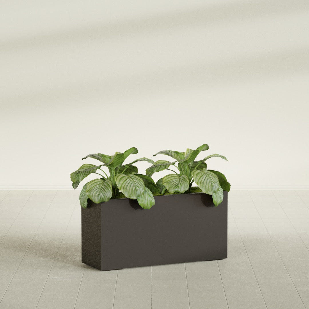 Miami Narrow Rectangular fiberglass planter in Matte Dark Brown, shown planted, in a sunlit interior