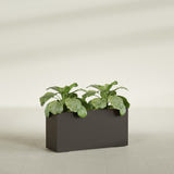 Miami Narrow Rectangular fiberglass planter in Matte Dark Brown, shown planted, in a sunlit interior
