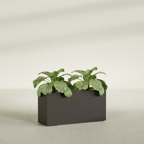 Miami Narrow Rectangular fiberglass planter in Matte Dark Brown, shown planted, in a sunlit interior