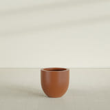 Alzira Bowl Planter in Matte Terra Cotta, 23"D × 22"H, shown empty