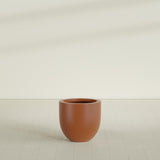 Alzira Bowl Planter in Matte Terra Cotta, 23"D × 22"H, shown empty