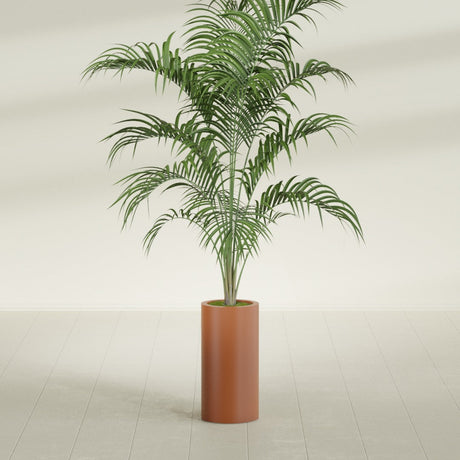 Corry Cylinder fiberglass planter in Matte Terra Cotta, shown planted, in a sunlit interior