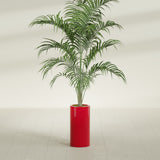 Corry Cylinder fiberglass planter in Gloss Red, shown planted, in a sunlit interior