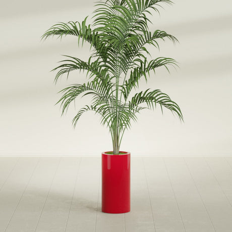 Corry Cylinder fiberglass planter in Gloss Red, shown planted, in a sunlit interior