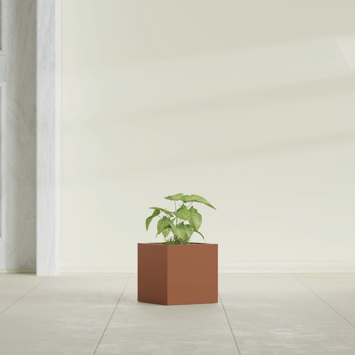 Monaco Cube fiberglass planter in Matte Terra Cotta, shown planted, in a sunlit interior