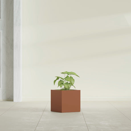 Monaco Cube fiberglass planter in Matte Terra Cotta, shown planted, in a sunlit interior