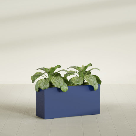 Miami Corner fiberglass planter in Matte Cobalt Blue, shown planted, in a sunlit interior