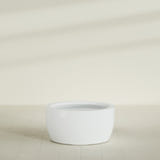 Casablanca Bowl Planter in Matte Bright White, 36"D × 18"H, shown empty