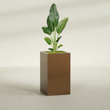 Darwin Corner fiberglass planter in Metallic Bronze, shown planted, in a sunlit interior