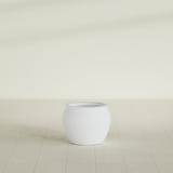 Shanghai Fishbowl Planter in Gloss Bright White, 16", shown empty