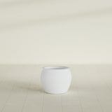Shanghai Fishbowl Planter in Gloss Bright White, 16", shown empty