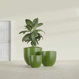 Alzira Bowl fiberglass planter in Satin Green, size range, in a sunlit interior