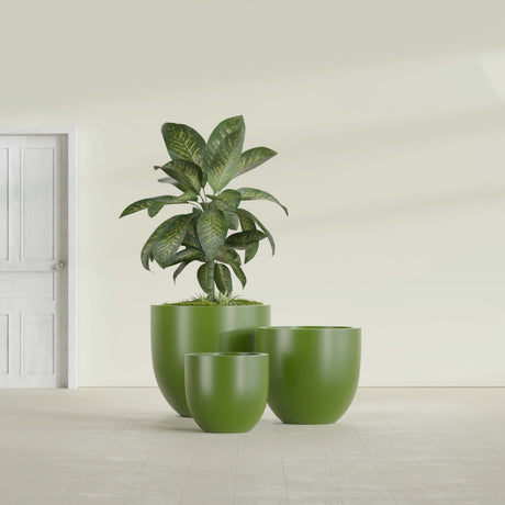 Alzira Bowl fiberglass planter in Satin Green, size range, in a sunlit interior
