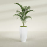 San Jose Tall Fluted fiberglass planter in Gloss Bright White, shown planted, in a sunlit interior