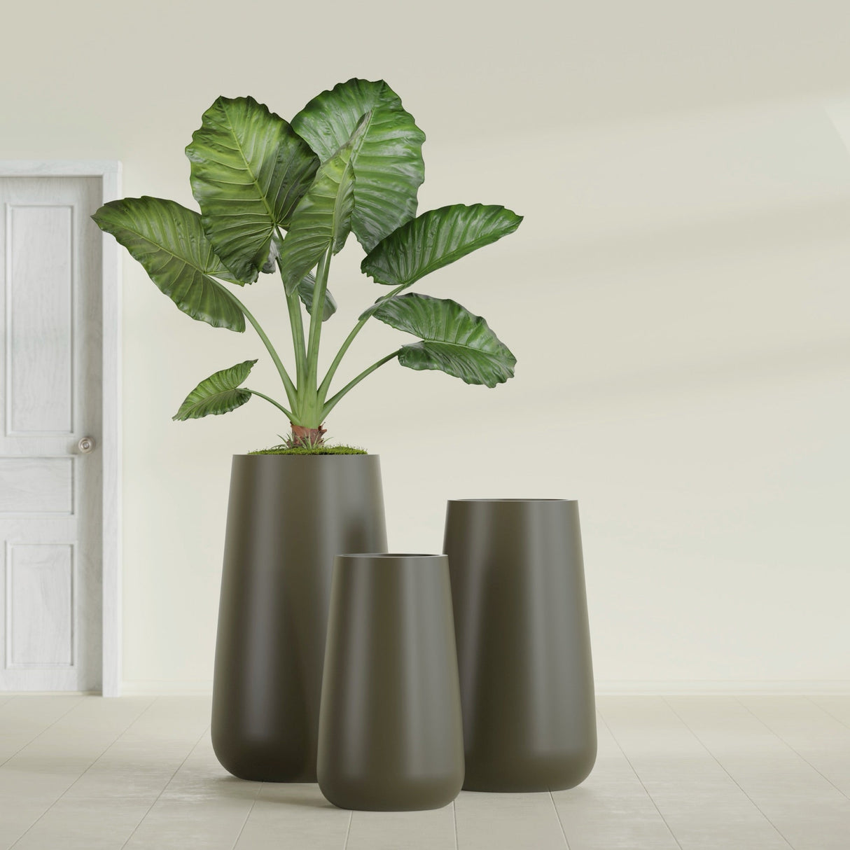 Saigon Tapered Round fiberglass planter in Matte Bronze, size range, in a sunlit interior