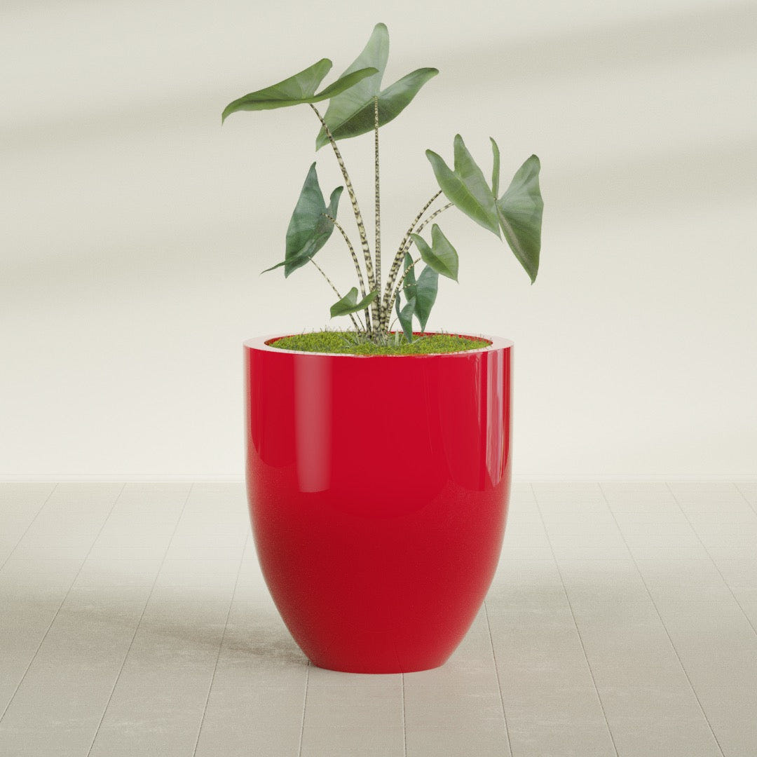 Valencia Tapered Round fiberglass planter in Gloss Red, planted, in a sunlit interior