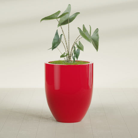 Valencia Tapered Round fiberglass planter in Gloss Red, planted, in a sunlit interior