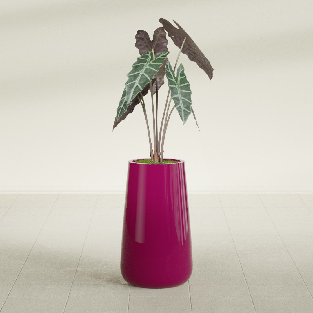 Saigon Tapered Round fiberglass planter in Gloss Eggplant, shown planted, in a sunlit interior