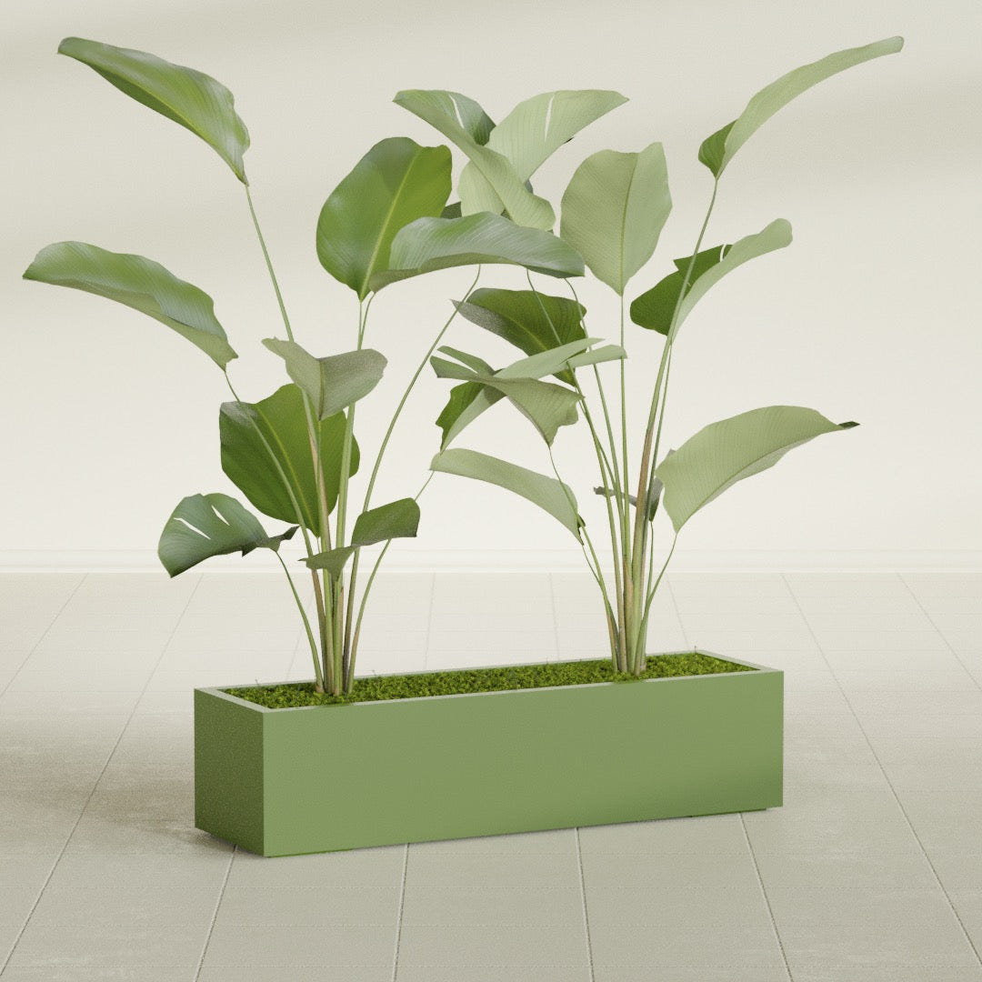 Cuba Low Rectangular fiberglass planter in Satin Green, shown planted, in a sunlit interior