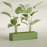 Cuba Low Rectangular fiberglass planter in Satin Green, shown planted, in a sunlit interior