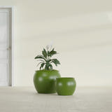 Shanghai Fishbowl fiberglass planter in Satin Green, size range, in a sunlit interior