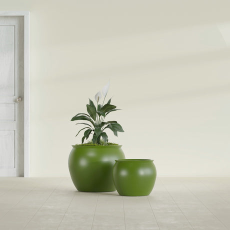 Shanghai Fishbowl fiberglass planter in Satin Green, size range, in a sunlit interior