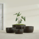 Casablanca Bowl fiberglass planter in Matte Dark Brown, size range, in a sunlit interior