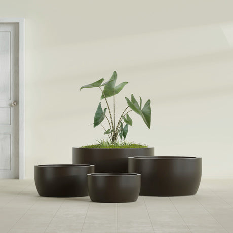 Casablanca Bowl fiberglass planter in Matte Dark Brown, size range, in a sunlit interior