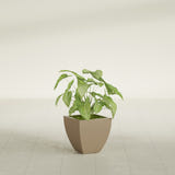 Lima Tapered Square fiberglass planter in Gloss Metallic Gold, shown planted, in a sunlit interior