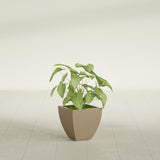Lima Tapered Square fiberglass planter in Gloss Metallic Gold, shown planted, in a sunlit interior
