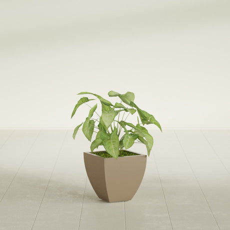 Lima Tapered Square fiberglass planter in Gloss Metallic Gold, shown planted, in a sunlit interior