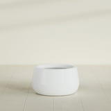 Short Hayden Bowl Planter in Matte Bright White, 16"D × 8"H, shown empty